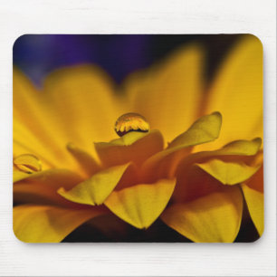 Tapis De Souris Goutte d'eau avec réflexion de Gerbera Daisy