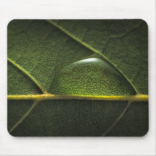 Tapis De Souris Gouttelettes de feuille