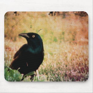 Tapis De Souris Grackle Bird