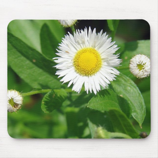 Tapis De Souris Graine blanche (Devant)