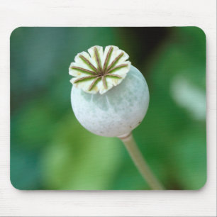 Tapis De Souris Graine de tête de fleur de pavot, Cap-Occidental