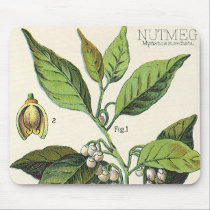 Tapis De Souris Graines de noix de muscade de plante vintage, herb