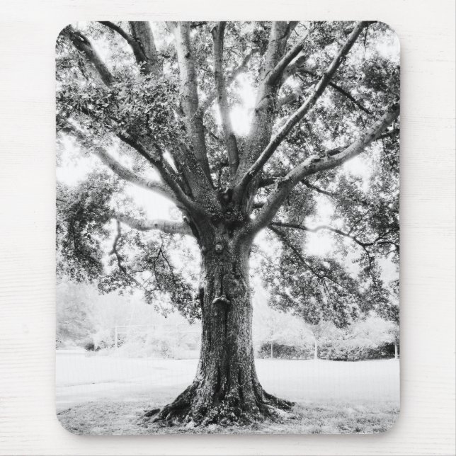 Tapis De Souris Grand (Devant)