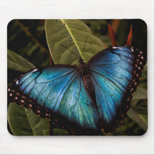 Tapis De Souris Grand, beau, papillon bleu