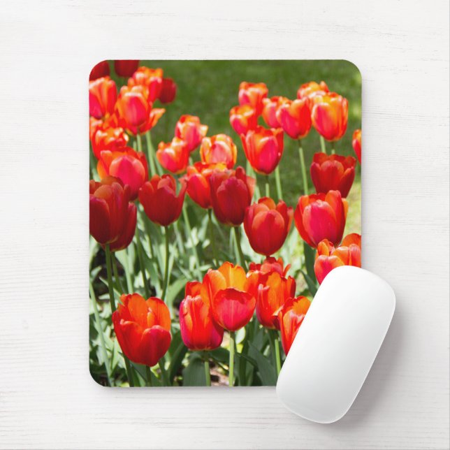 Tapis De Souris Grand champ de tulipes rouges (Avec souris)
