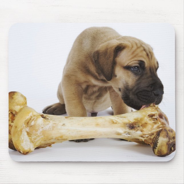 Tapis De Souris Grand chiot Dane avec os en studio (Devant)