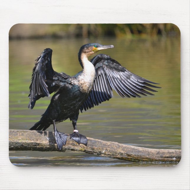 Tapis De Souris Grand Cormoran avec ailes ouvertes (Devant)