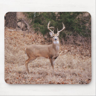 Tapis De Souris Grand et beau buck cerf bois en hiver