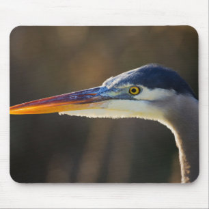 Tapis De Souris Grand Héron bleu, portrait rapproché