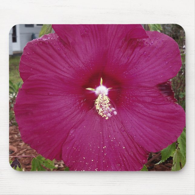 Tapis De Souris grand Hibiscus rouge foncé (Devant)