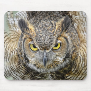 Tapis De Souris Grand hibou à cornes après des yeux
