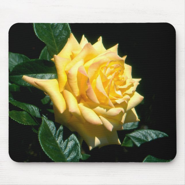 Tapis De Souris Grand-père Dickson (Devant)