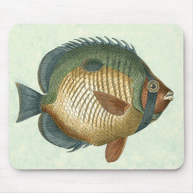 Tapis De Souris Grand Poisson Coloré (Devant)