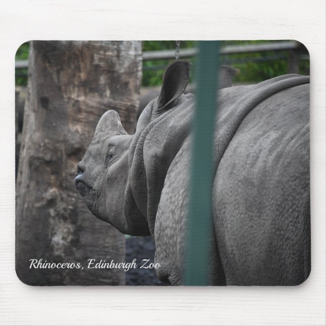 Tapis De Souris Grand rhinocéros à une corne au zoo d'Édimbourg (Devant)