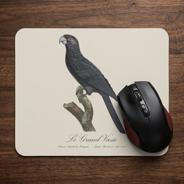 Tapis De Souris Grand Vasa, Coracopsis Vasa Illustration (Greater Vasa Parrot, Coracopsis Vasa Illustration. Mouse Pad)