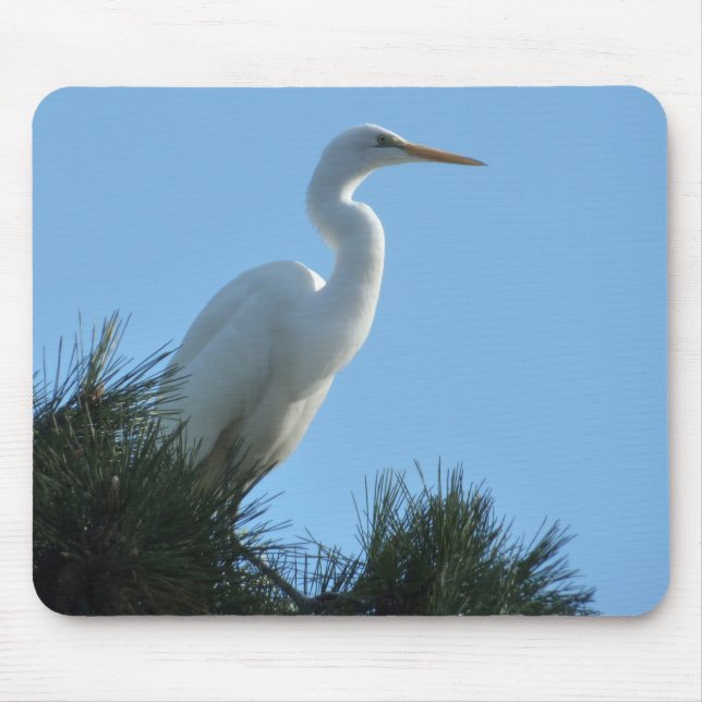 Tapis De Souris Grande Aigrette en Floride ensoleillée (Devant)