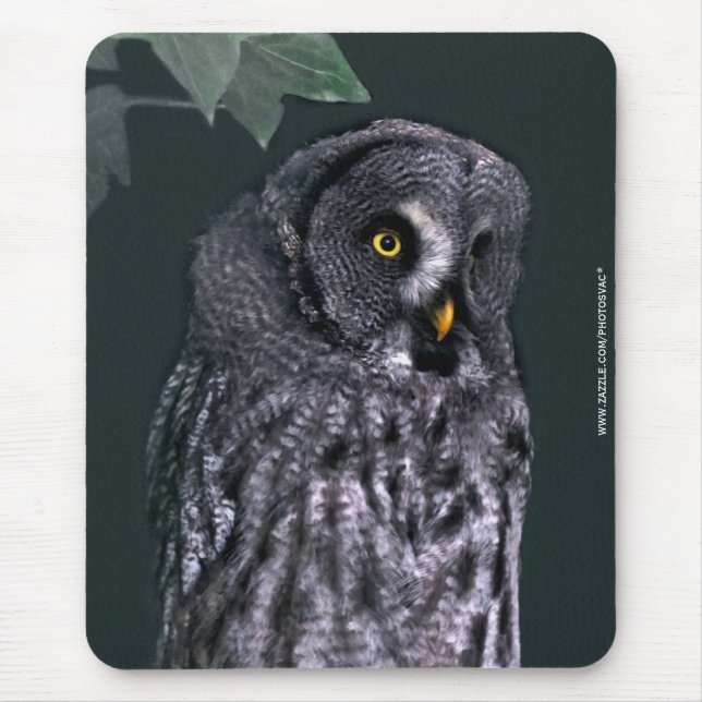 Tapis De Souris Grande Chouette grise (Devant)