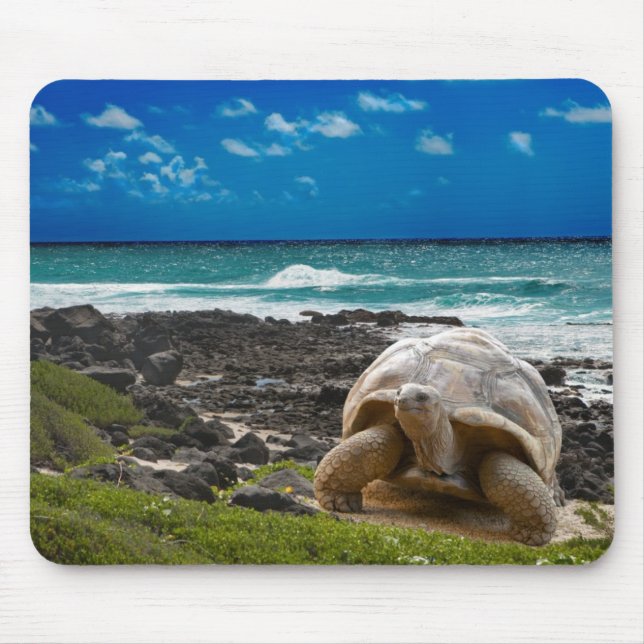 Tapis De Souris Grande tortue au bord de mer (Devant)