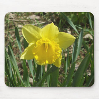 Tapis De Souris Grandparent's Bright Yellow Daffodil Mouse Pad