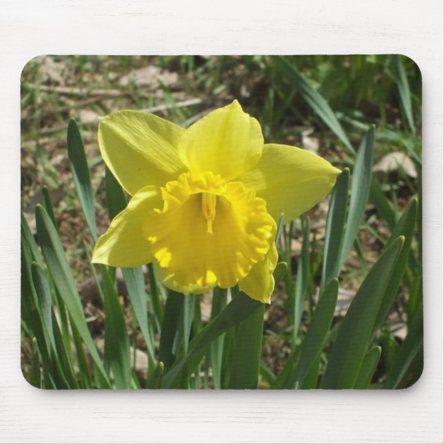 Tapis De Souris Grandparent's Bright Yellow Daffodil Mouse Pad (Devant)