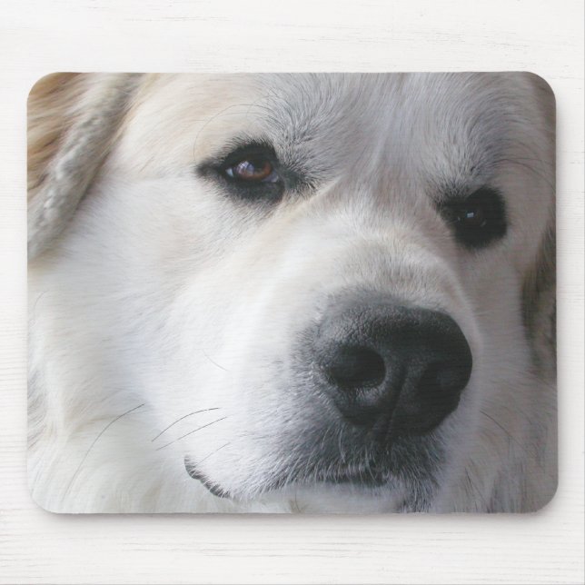Tapis De Souris Grands Pyrénées Mousepad (Devant)
