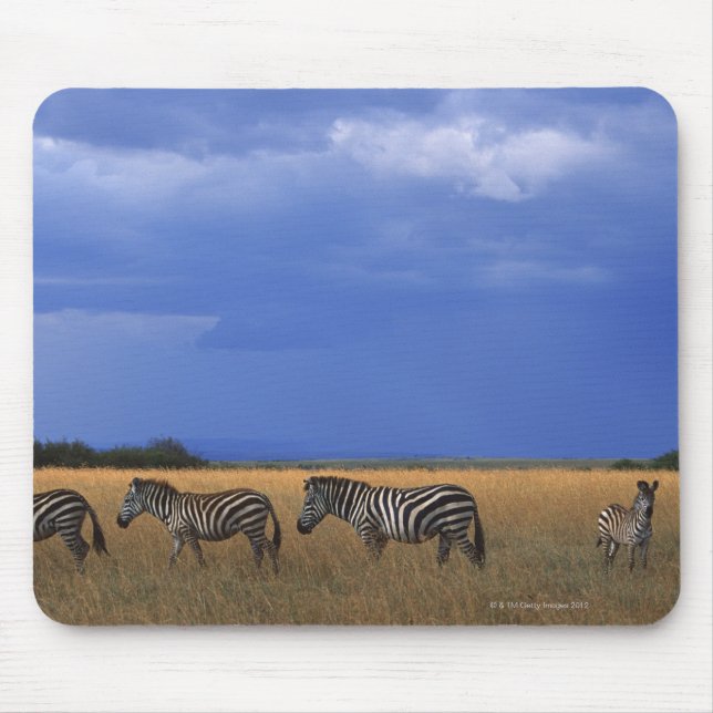 Tapis De Souris Grant Zebra 2 (Devant)