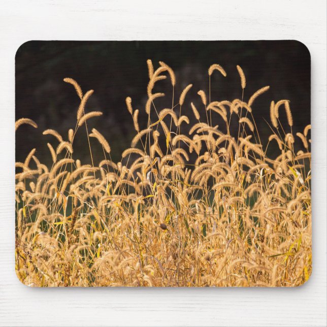 Tapis De Souris Grasses d'automne (Devant)