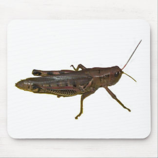 Tapis De Souris Grasshopper