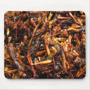 Tapis De Souris Grasshopper frit (Takkataen Thot) Alimentation asi