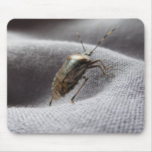 Tapis De Souris Graue Gartenwanze buggy buggy stink bug
