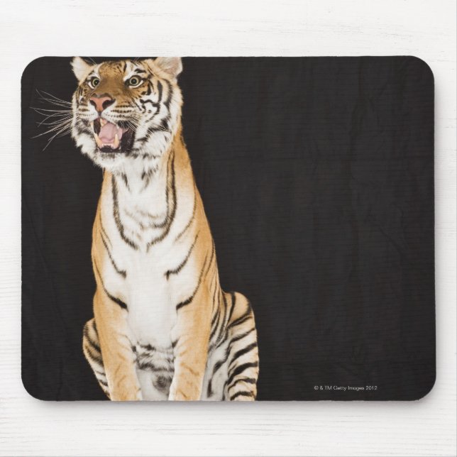 Tapis De Souris Gravure de tigre (Devant)