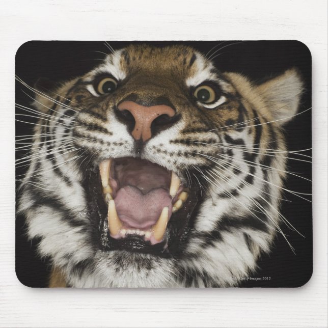 Tapis De Souris Gravure de tigre 2 (Devant)