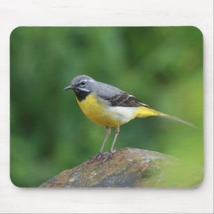 Tapis De Souris Gray Wagtail - oiseau