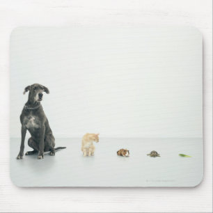 Tapis De Souris Great dane, chat, cobaye, tortue et lingot