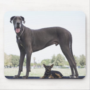 Tapis De Souris Great dane et petit chien de mélangé-race