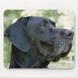 Tapis De Souris Great dane Mousepad