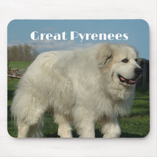 Tapis de souris Great Pyrenees (Devant)
