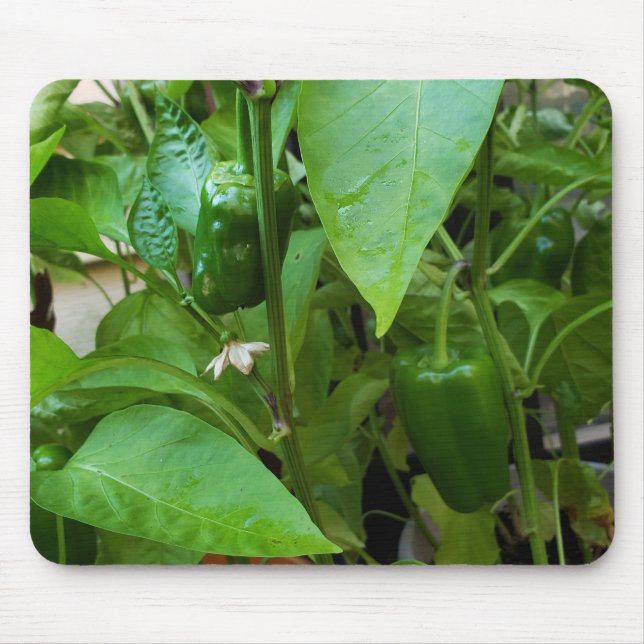 Tapis De Souris Green peppers (Devant)