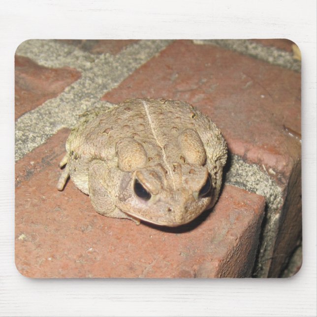 Tapis De Souris Grenouille (Devant)