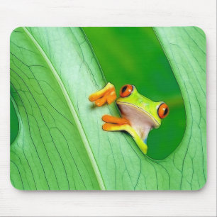 Tapis De Souris grenouille