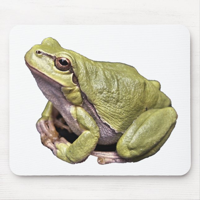 Tapis De Souris Grenouille (Devant)