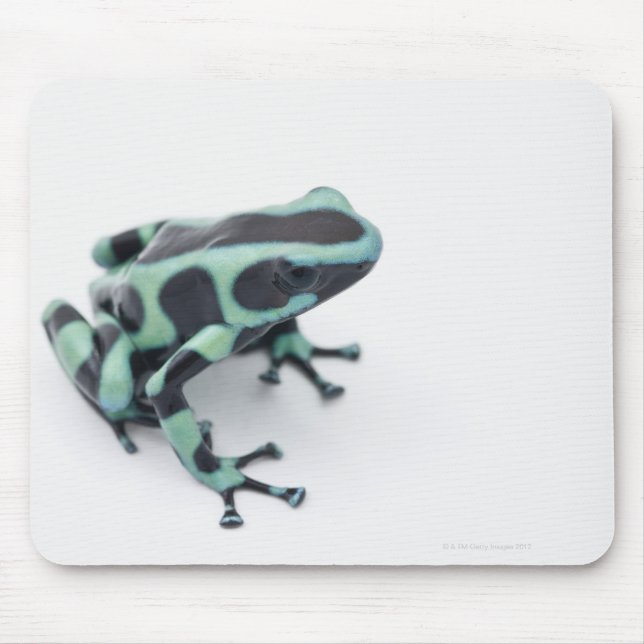 Tapis De Souris grenouille à bec noire et verte (dendrobates) (Devant)