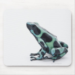 Tapis De Souris Grenouille à poison noire et verte
