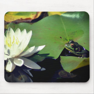Tapis De Souris Grenouille Admirant Lotus Water Lily Flower