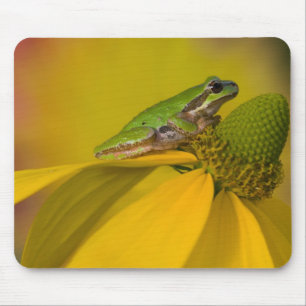 Tapis De Souris Grenouille arboricole du Pacifique sur des fleurs