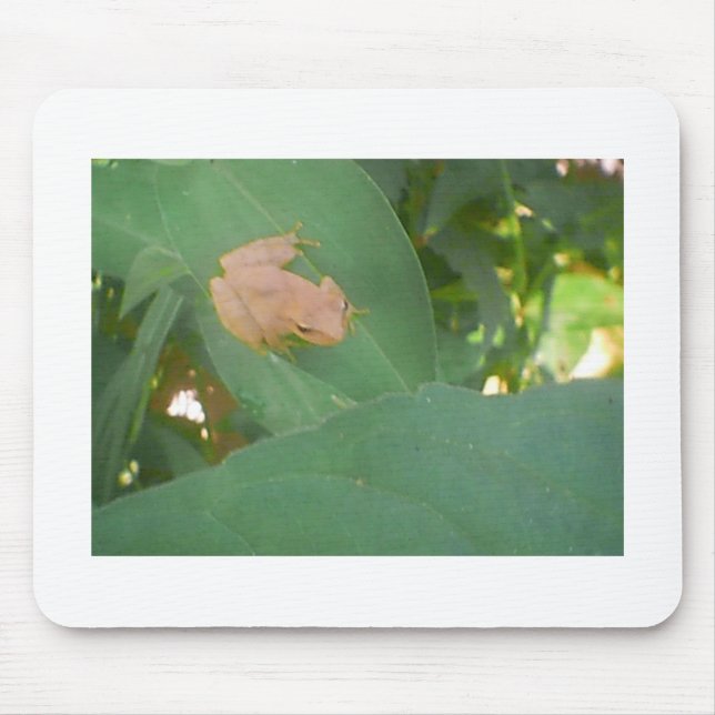 Tapis De Souris Grenouille assise sur la feuille verte (Devant)