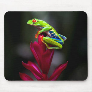 Tapis De Souris Grenouille aux yeux rouges