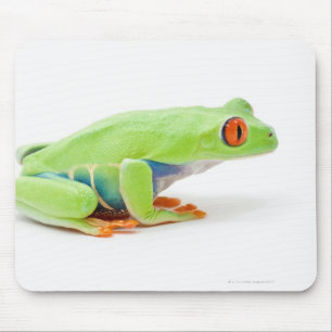 Tapis De Souris Grenouille d'arbre aux yeux rouges (Agalychnis