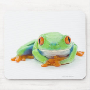 Tapis De Souris Grenouille d'arbre aux yeux rouges (Agalychnis