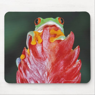 Tapis De Souris Grenouille d'arbre aux yeux rouges sur la feuille